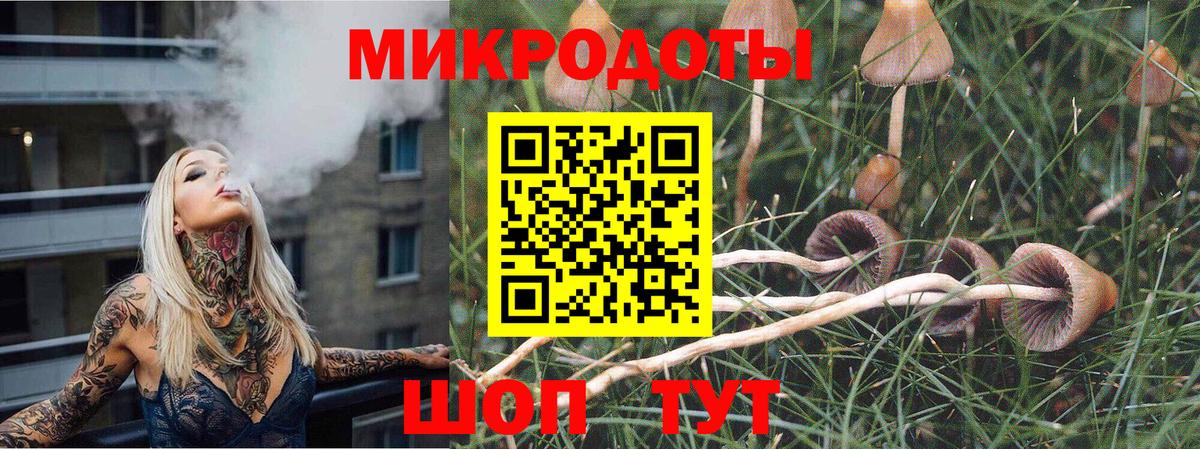 Псилоцибиновые грибы мицелий Знаменск