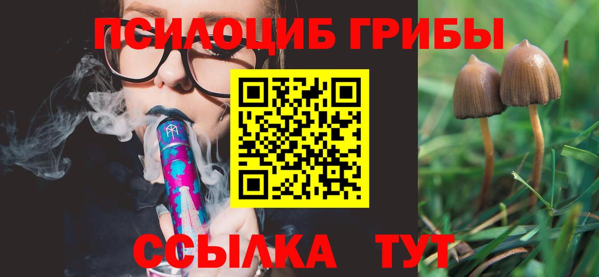 Знаменск  Галлюциногенные грибы Magic Shrooms  как найти закладки  Вход с VPN 